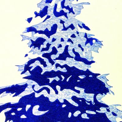 Sapin_ssfond.jpg