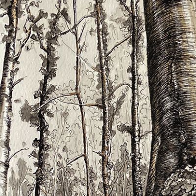 Chemin de Lumière #16
