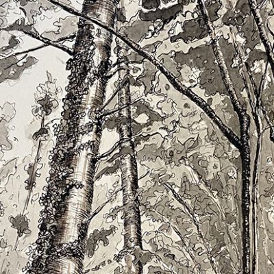 Chemin de Lumière #17