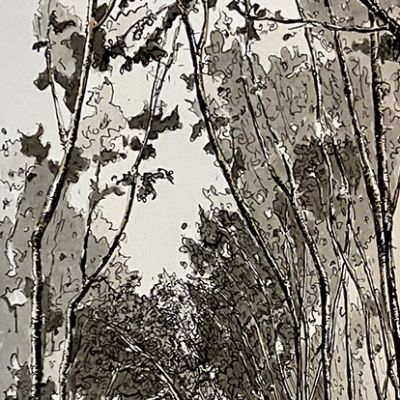 Chemin de Lumière #18