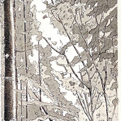 Chemin de Lumière #19